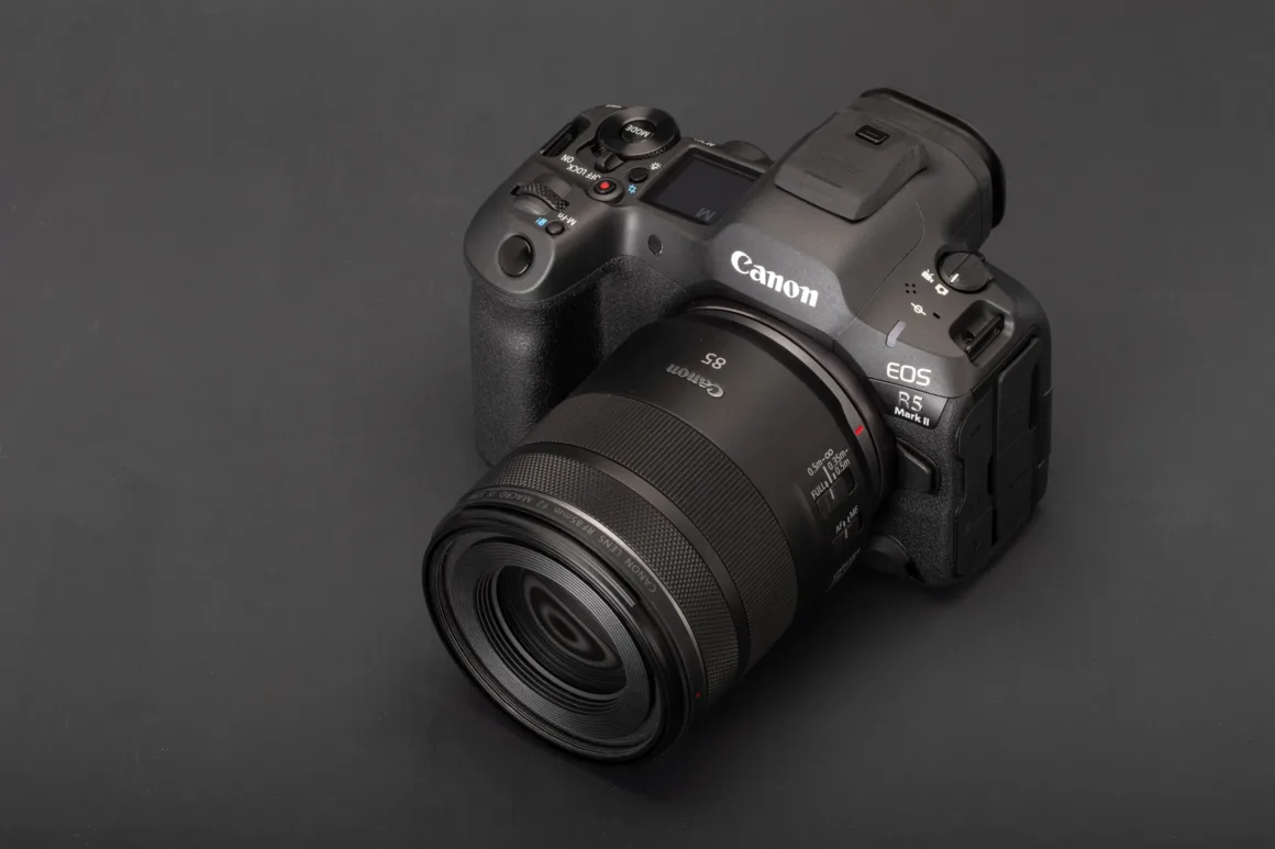 2025'te manzara fotoğrafçılığı için en iyi kameralar 3 Canon eos r5 2