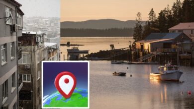 ChatGPT Reverse Image Search