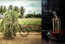 World Food Photography Awards Kısa Listeye Giren Görüntüler 20 World Food Photo Awards