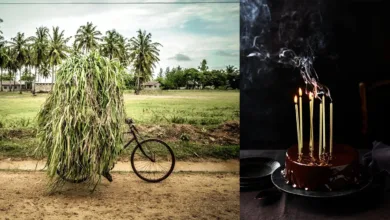 World Food Photography Awards Kısa Listeye Giren Görüntüler 19 World Food Photo Awards