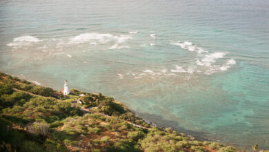 Takip edilmesi gereken 12 kadın fotoğrafçı 16 abby ferguson honolulu