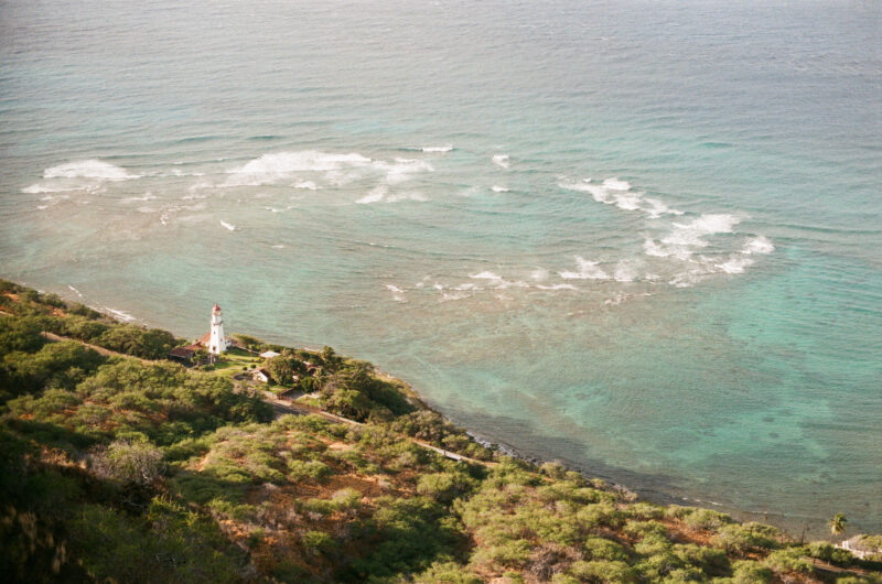 abby ferguson honolulu