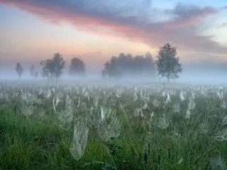 k7 1 andreas volz misty morning