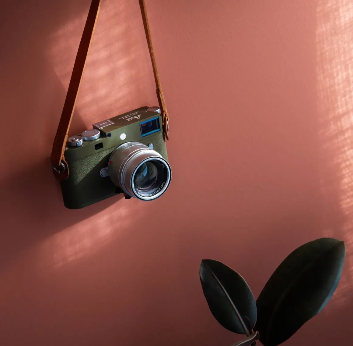 Leica’nın Olive-Green M11-P Safari'si Hazır 6 20235 M11 P safari Ambient 09 HiRes