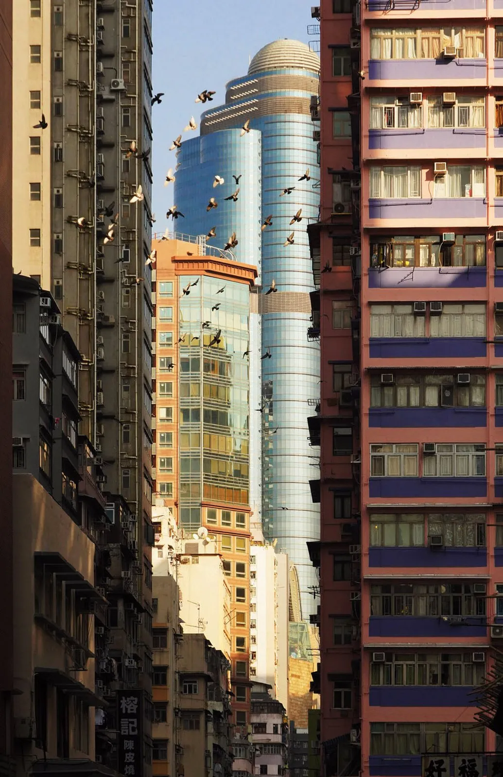 Romain Jacquet-Lagrèze : Vertical Horizon 6 Flock over Mong Kok
