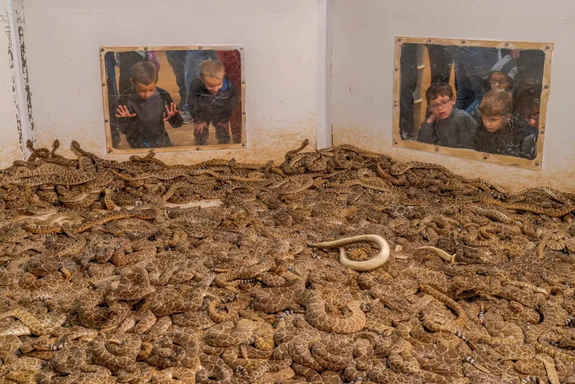 2025 Environmental Photography Awards Kazananları 15 IMAGE 12 HVN 2RUNNER UP ©Javier Aznar