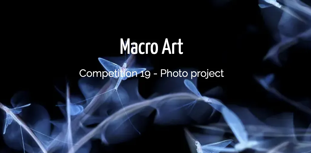 Mayıs ayında katılabileceğiniz 8 fotoğraf yarışması 6 Macro Art Competition