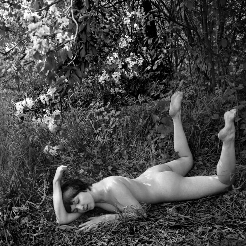 ©NIKOLAY BAKHAREV 10