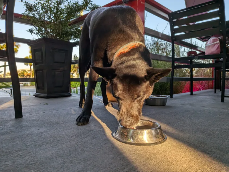 Akilli telefon kameranizdan daha fazla verim almak icin basit ipuclari 004