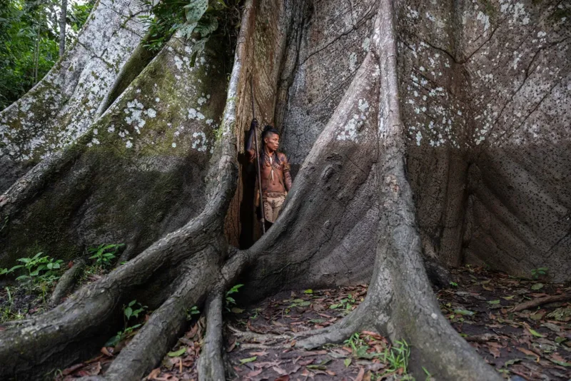 BorreroMateo Waterline Mateo Borrero Title