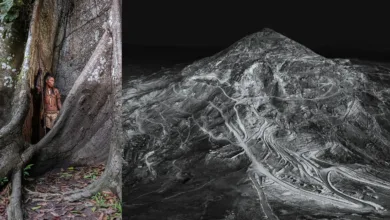 Earth Photo 2025 Award 23 Earth Photo 2025 Award