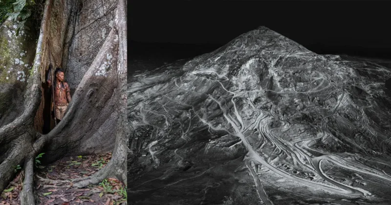 Earth Photo 2025 Award