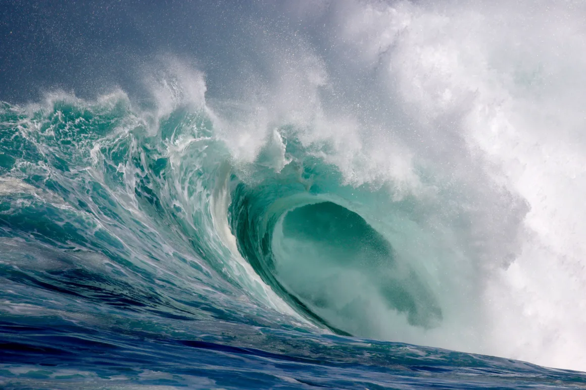 Birleşmiş Milletler Dünya Okyanuslar Günü Fotoğraf Yarışması 2025 1 a large wave curls over with water spraying