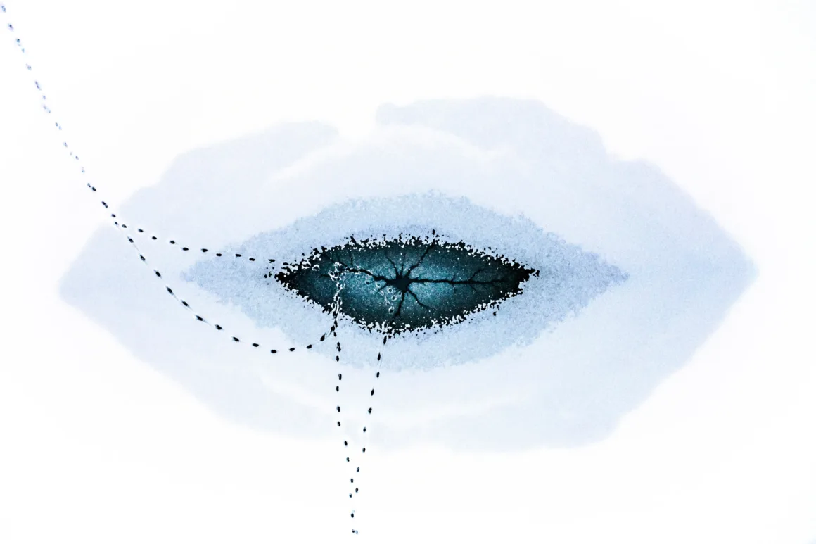 BigPicture 2025 kazananları 2 an eye shaped hole in frozen lake sits in expanse of snow with two lines of footprints