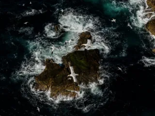 sea birds fly over rocky ocean terrain