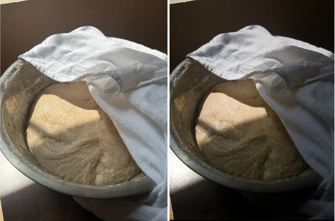 Adobe, iPhone için Project Indigo uygulaması yaptı 3 two bowls of bread dough with towel over itseparate by a white line