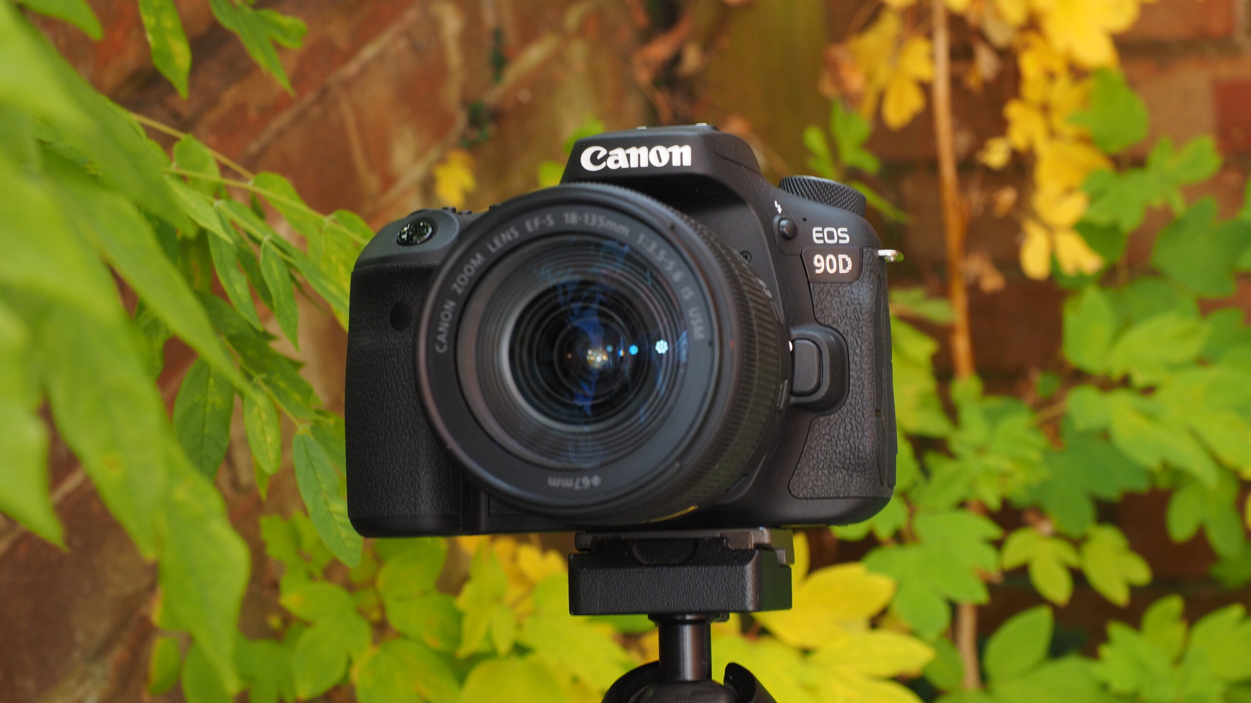 Canon EOS 90D scaled