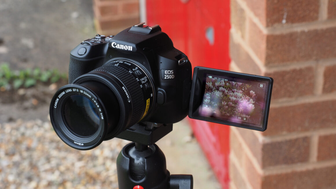 EOS 250D 101