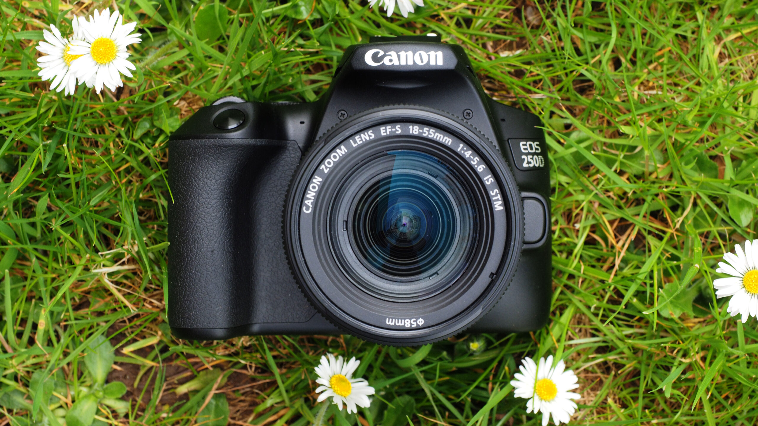 EOS 250D scaled