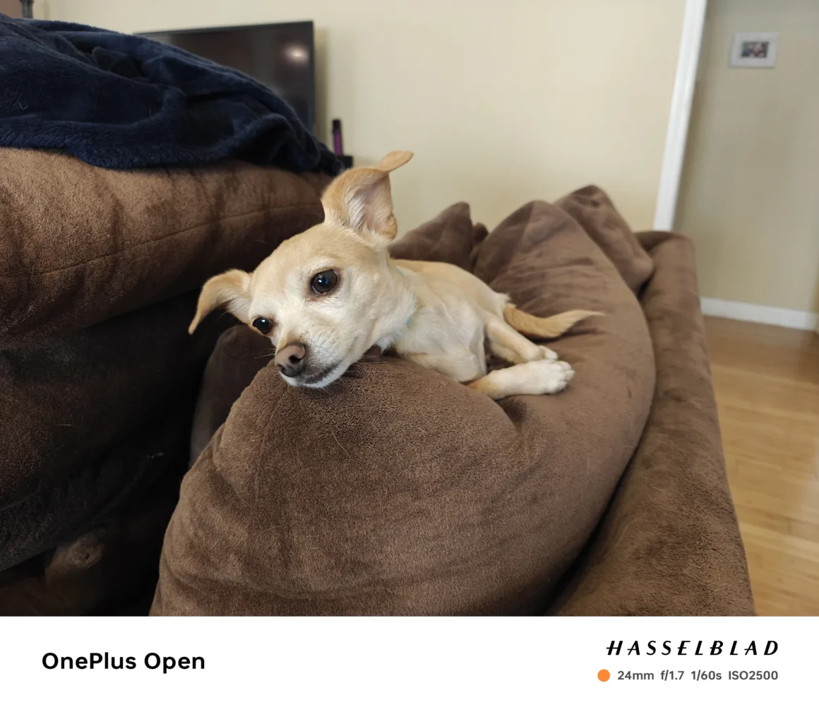 OnePlus Open 003