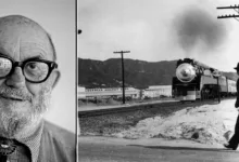 Ansel Adamsin Savas Oncesi Los Angeles Fotograflari Yeni Bir Sergide Yer Aliyor