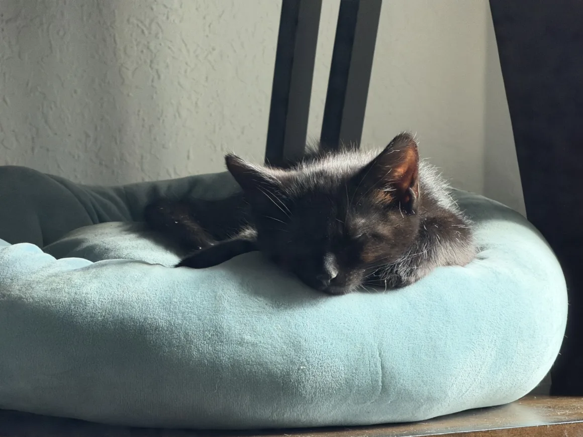 2026’nın en iyi kameralı telefonu 6 Apple iPhone 17 Pro Max kamera ornekleri 004