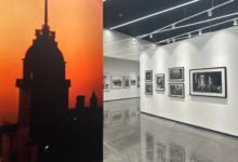 Ara Guler Sergisi 003