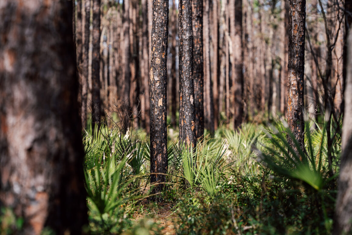 Fotograf Projeleriyle Yaratici Tikanikligin Ustesinden Gelmek 04