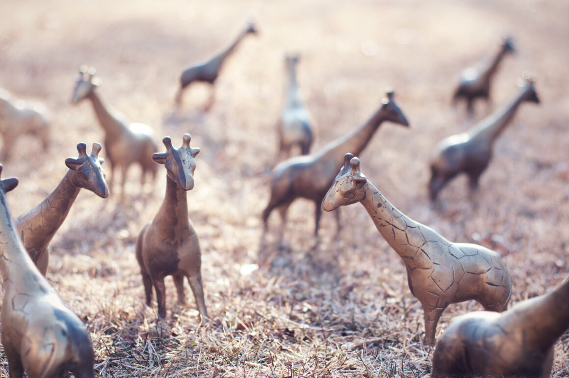 Fotograf Projeleriyle Yaratici Tikanikligin Ustesinden Gelmek 05