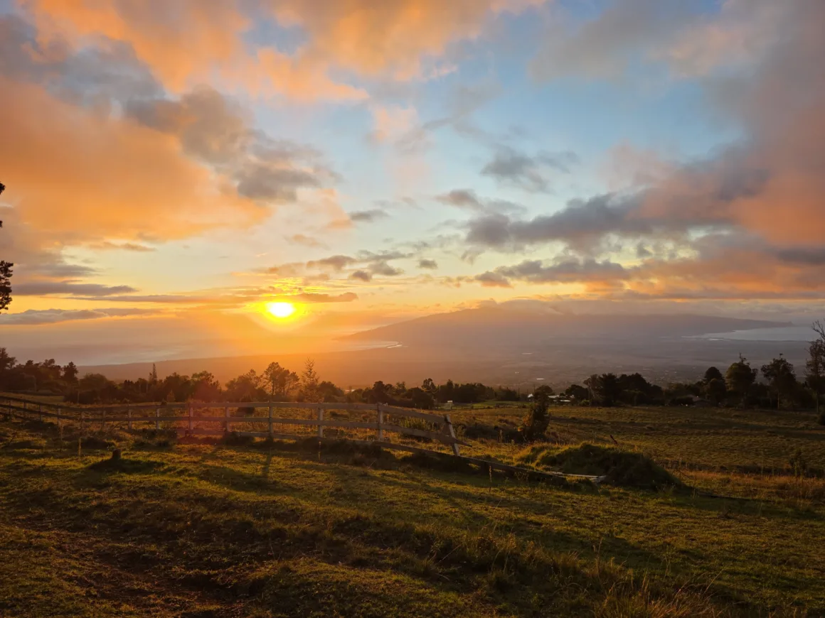 2026’nın en iyi kameralı telefonu 8 Galaxy S25 Ultra kamera ornekleri 001