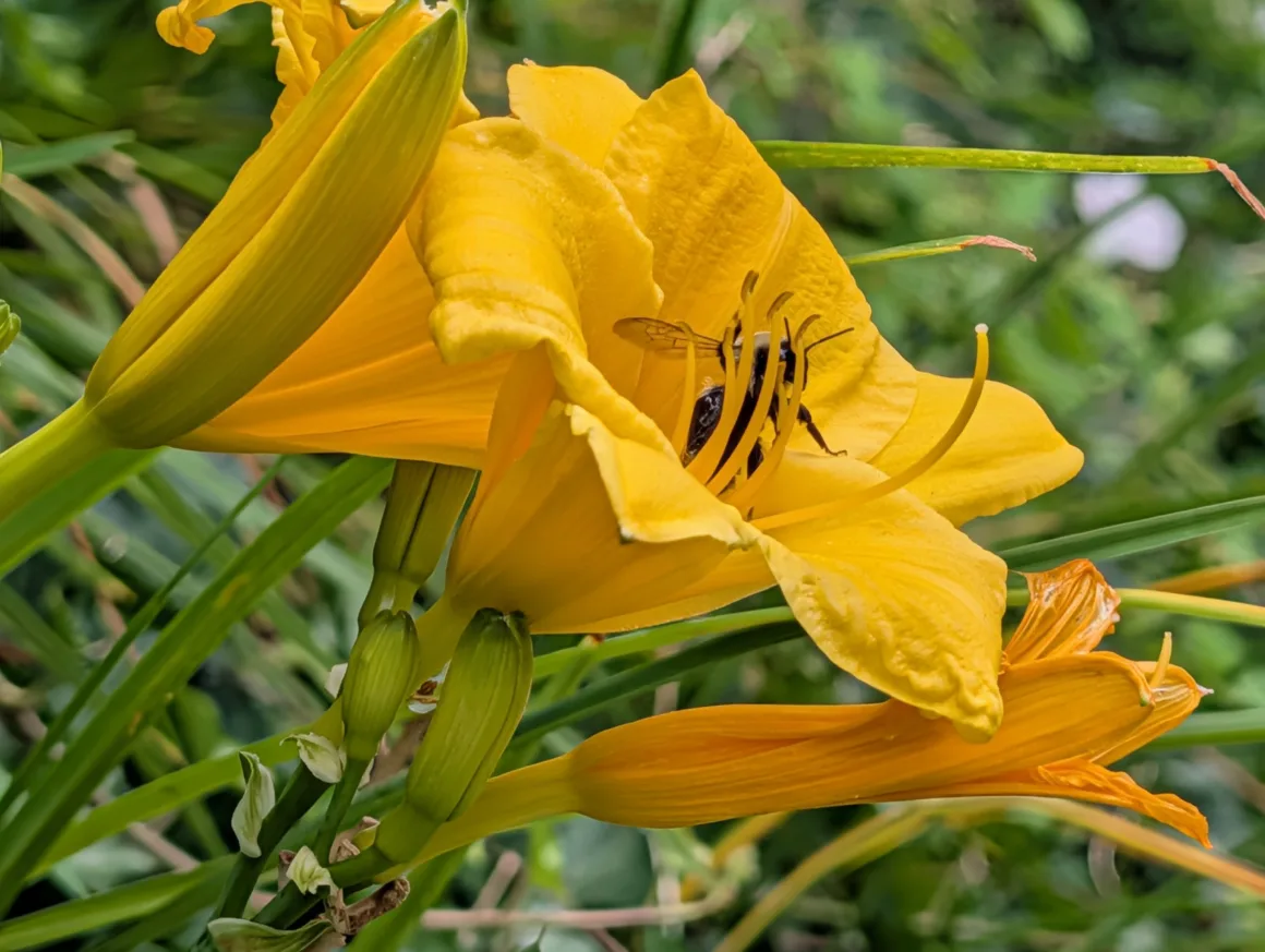 2026’nın en iyi kameralı telefonu 21 Google Pixel 10 Pro XL kamera ornekleri 004