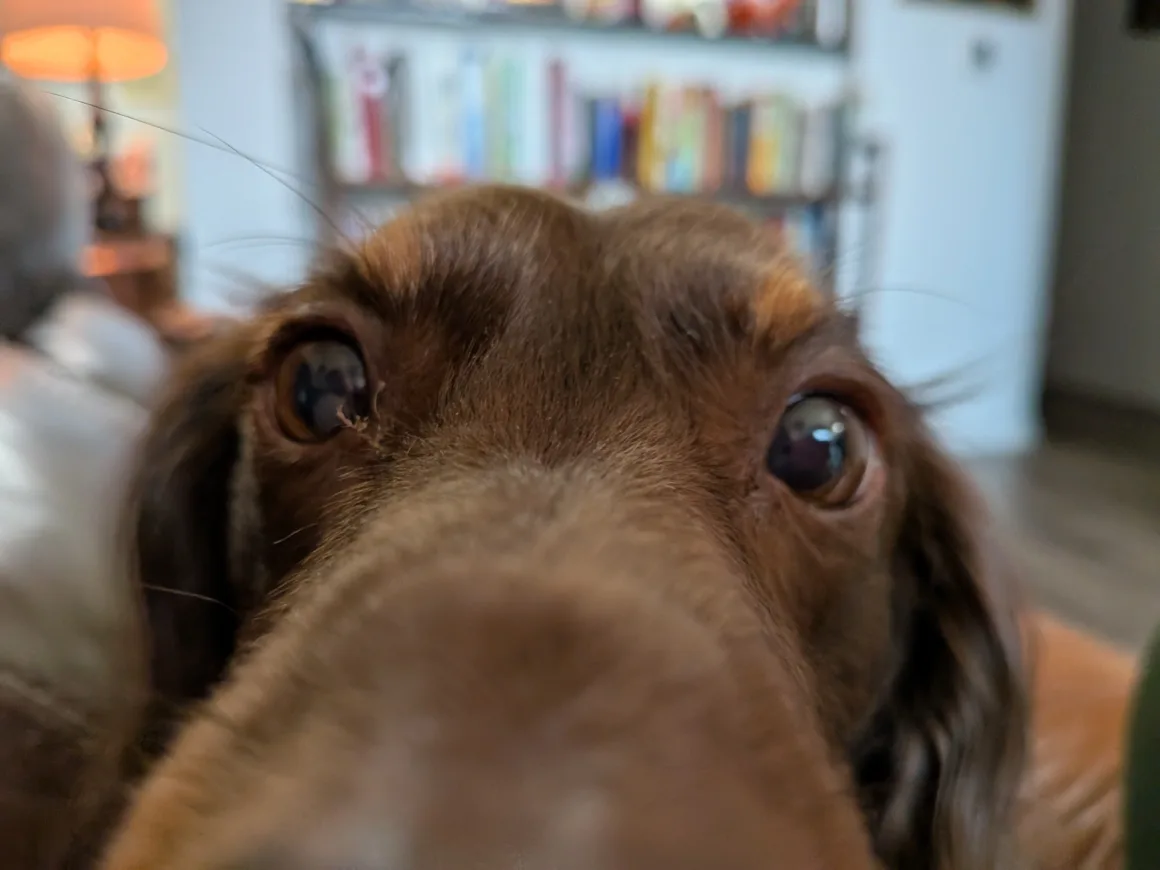 2026’nın en iyi kameralı telefonu 28 Google Pixel 9a kamera ornekleri 001