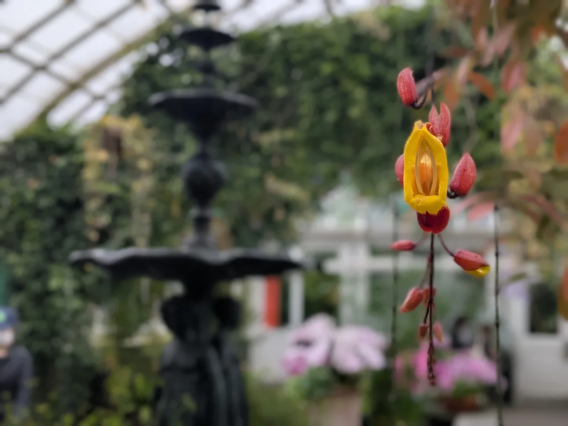 2026’nın en iyi kameralı telefonu 29 Google Pixel 9a kamera ornekleri 002