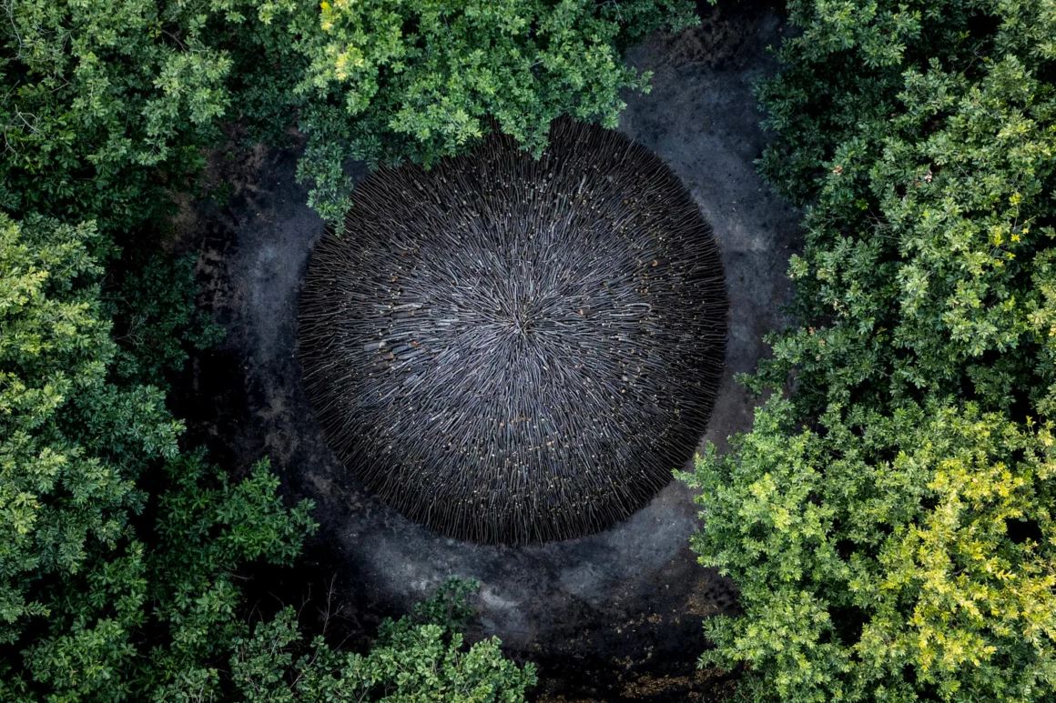 International Photography Awards (IPA) 2026