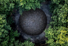 International Photography Awards IPA 2026