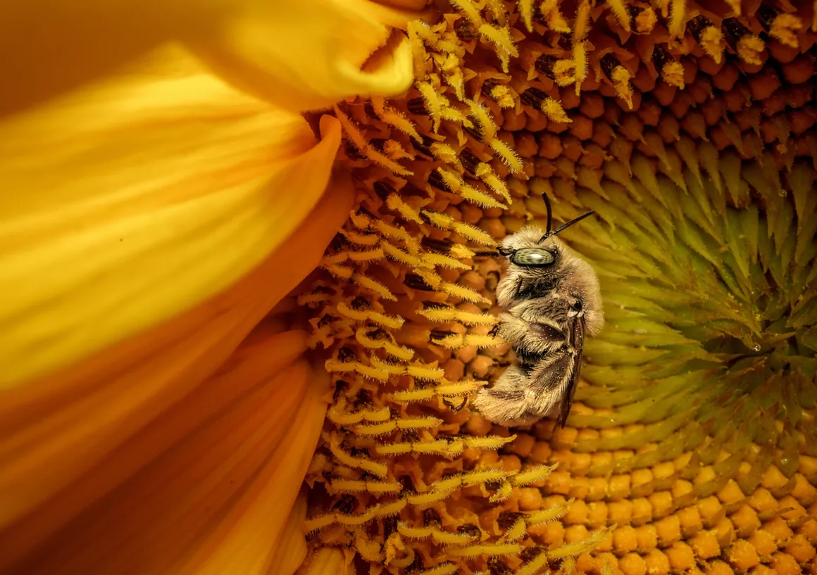 National Geographic – Pictures of the Year 2025 3 Karine Aigner