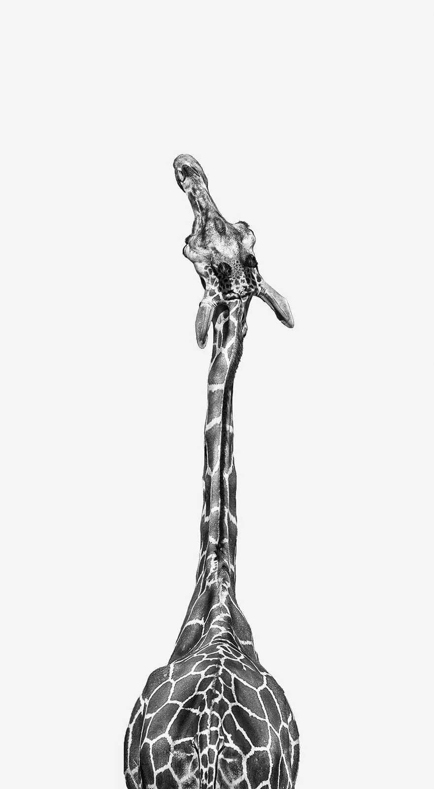 Katie Brockman Monochrome