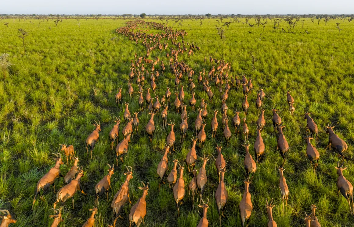 National Geographic – Pictures of the Year 2025 7 Marcus Westberg