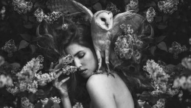 MonoVisions Photography Awards 2026