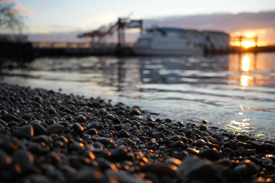 Sony a7 v sample image