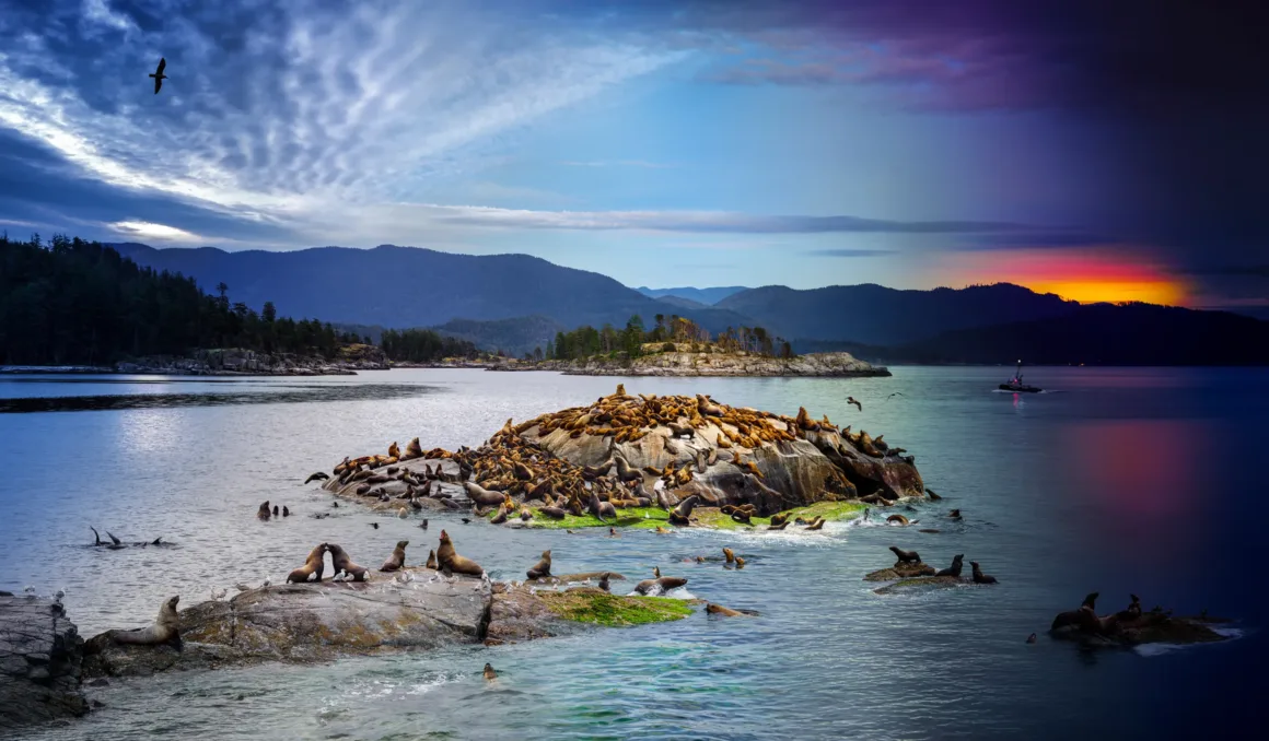 National Geographic – Pictures of the Year 2025 17 Stephen Wilkes 0