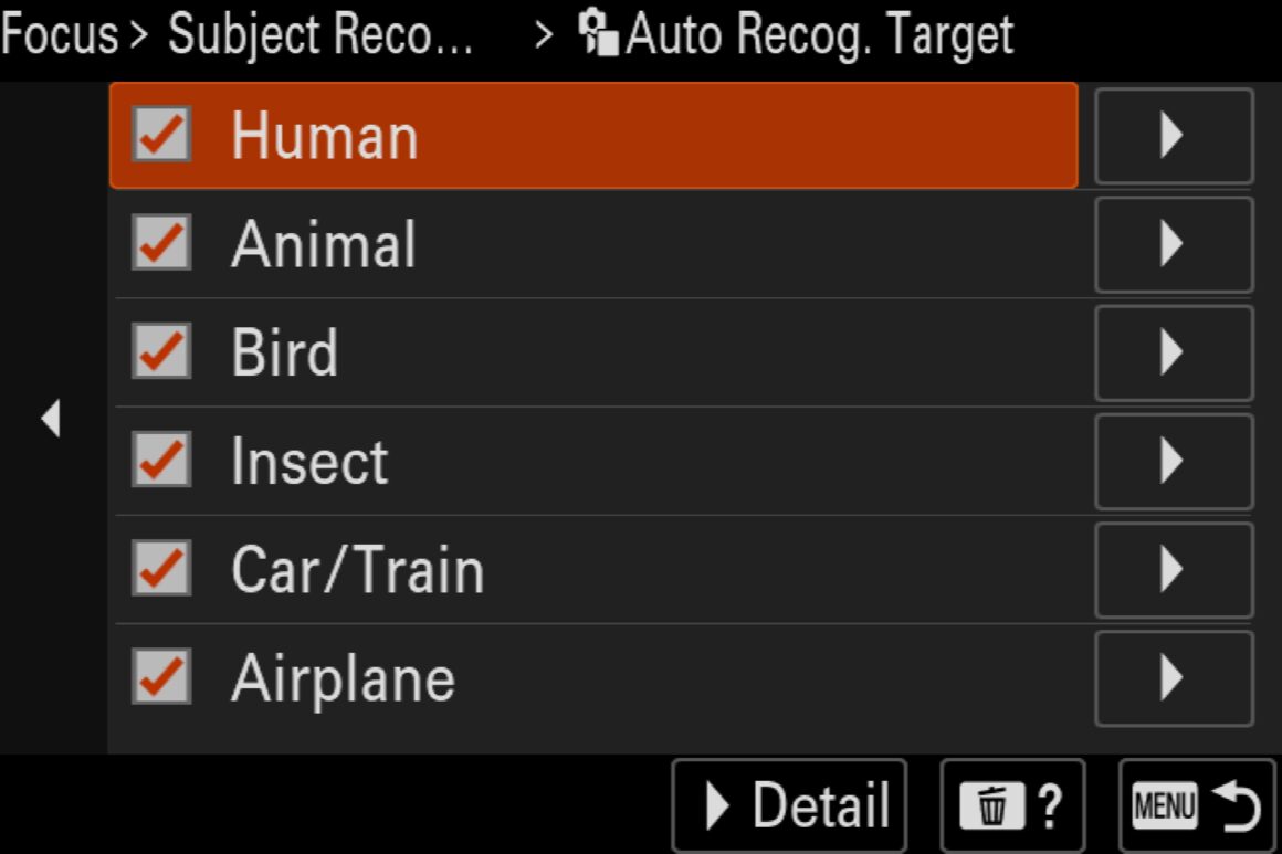 Sony a7 V incelemesi: E-mount kullanıcıları için her işi yapan güçlü bir gövde 2 sony a7v auto recognition configuration screen