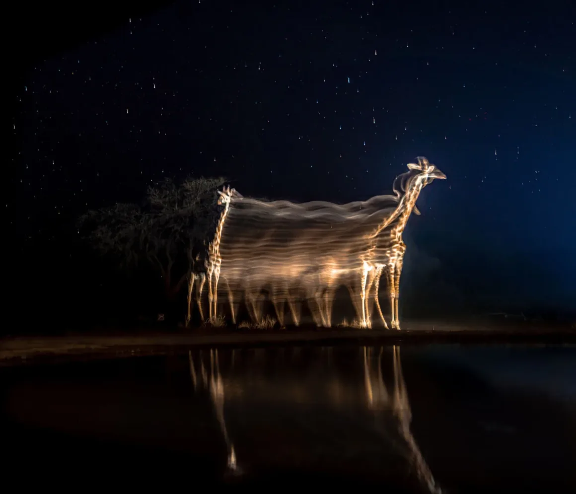 013 C2A9 Vishal Naveen India Shortlist Open Competition Motion Sony World Photography Awards 2026 1536x1317.jpg