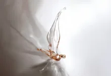 AniCelikArevyan In A Dream