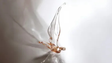 Ani Çelik Arevyan – “Bir Düşün İçinde / In A Dream” 4 AniCelikArevyan In A Dream