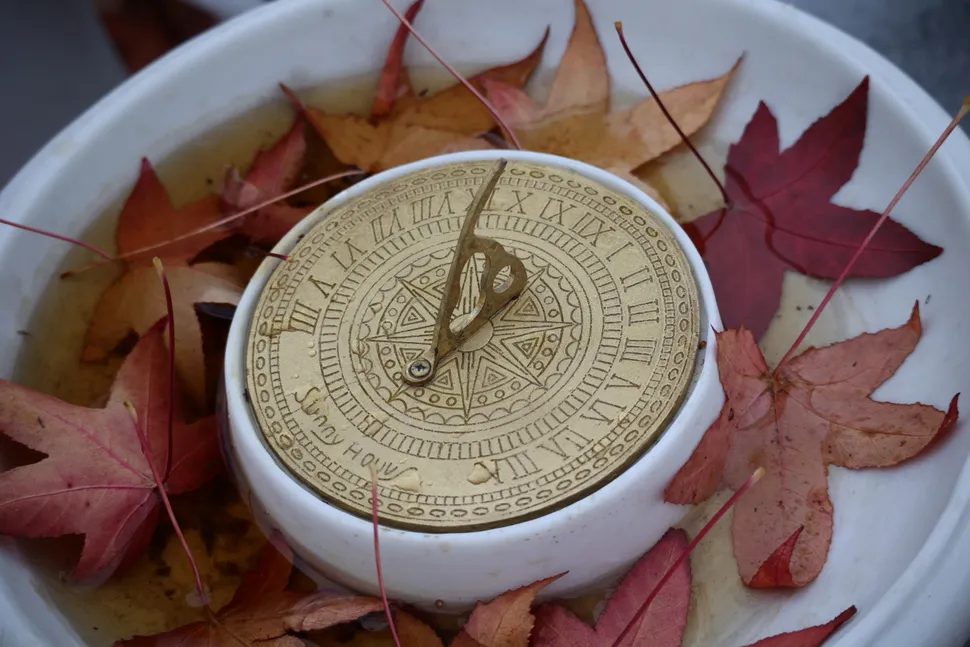 Canon RF 100 400mm 002