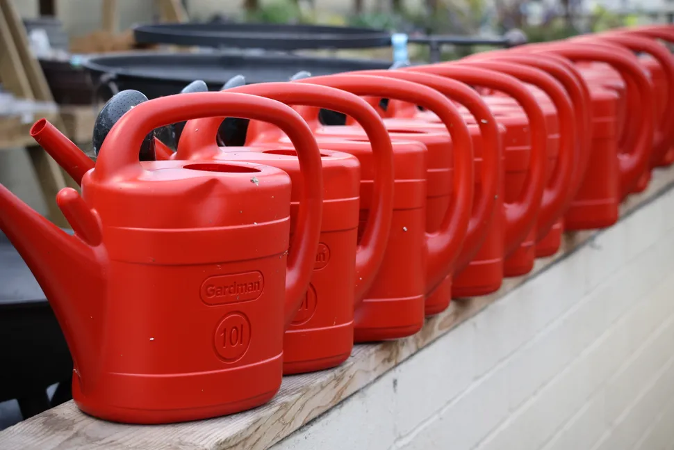 Canon RF 100 400mm 004