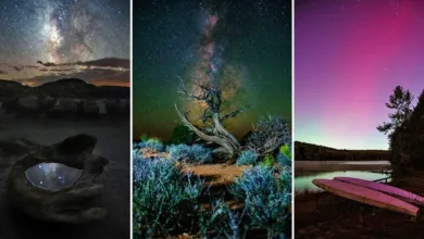 Gece Gökyüzü'nün Eşsiz Manzaralarını Nasıl Çekersiniz? 16 Creating Unique Landscape Photos by Kate Garibaldi 1
