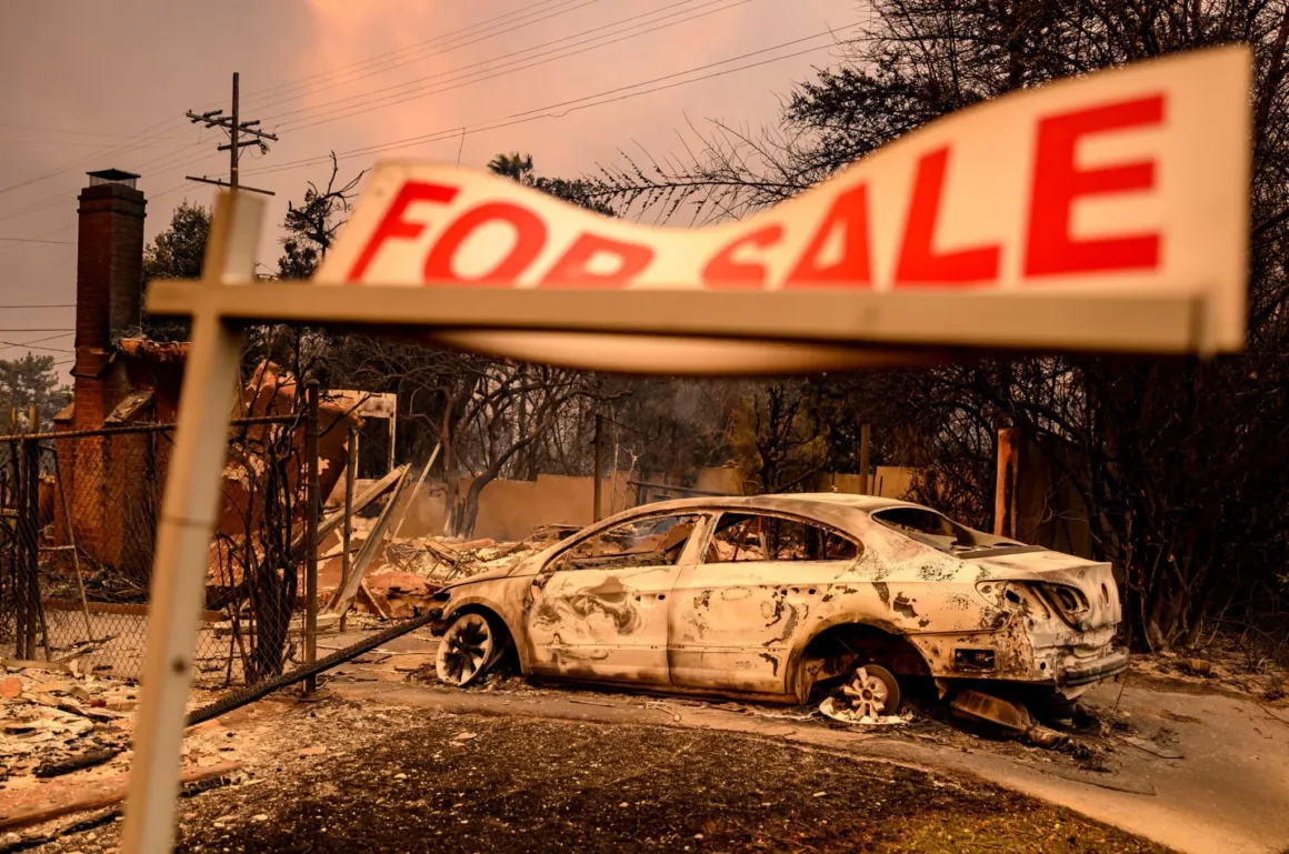 Xposure 2026: Dünyanın En Büyük Fotoğraf Festivali 34 DSC 5680 2048x1357 1