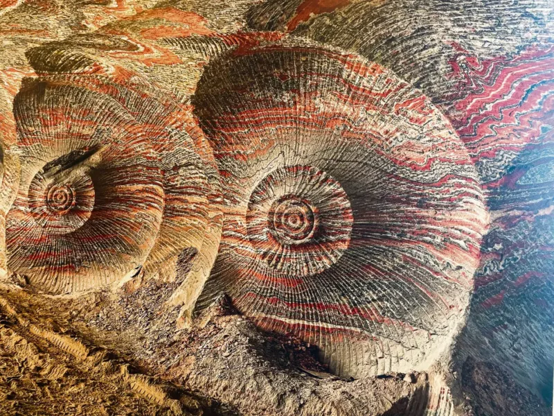 Edward Burtynsky Donusen Yeryuzu 001